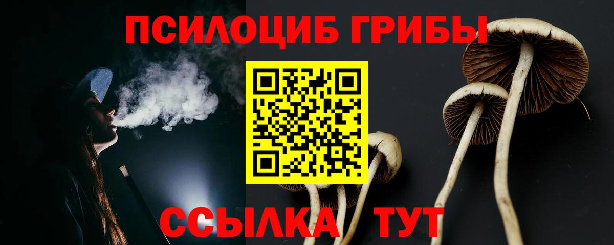 Галлюциногенные грибы Cubensis  Вход с VPN  Вологда  Галлюциногенные грибы мицелий 